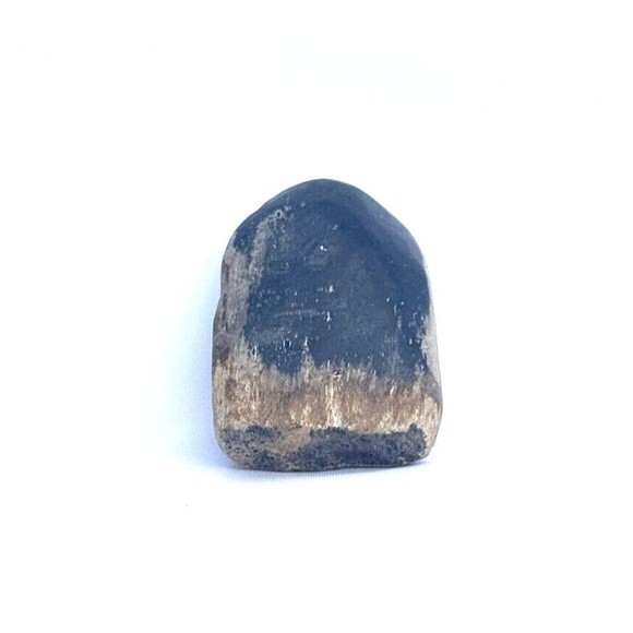 Petrified Wood From Indonesia 2.5" - Picture 5 of 12